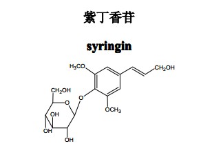 紫丁香苷中药化学对照品中药化学对照品