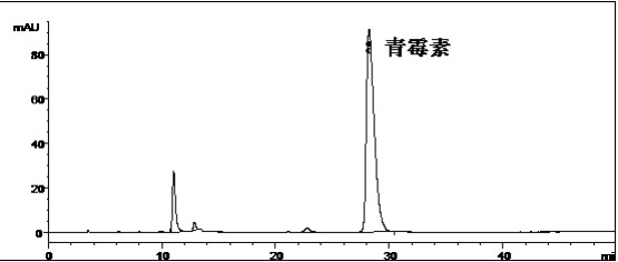 青霉素系统适用性对照品