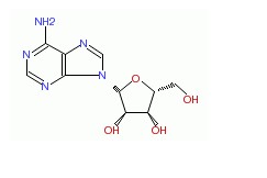 腺苷对照品
