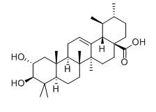 科罗索酸对照品