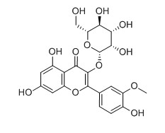 异鼠李素-3-O-半乳糖苷对照品