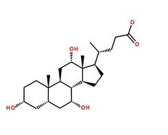 胆酸CAS号：81-25-4 分子结构图