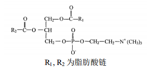 大豆磷脂酰胆碱对照品