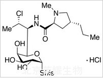 盐酸克林霉素标准品