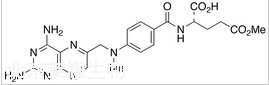 甲氨蝶呤杂质H标准品