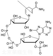 标准品