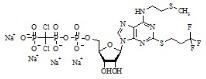 Cangrelor Tetrasodium Salt