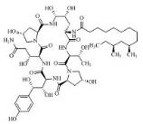 Caspofungin Pneumocandin C0 Impurity