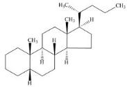 5-β-胆烷标准品