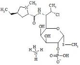 Clindamycin B 2-Phosphate Ammonium Salt