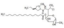 克林霉素4-棕榈酸酯标准品