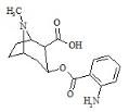 Aminobenzoylecgonine