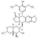 依托泊苷EP杂质B（顺式依托泊苷）