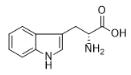 色氨酸对照品