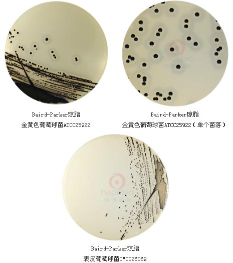 Baird-Parker琼脂基础颗粒