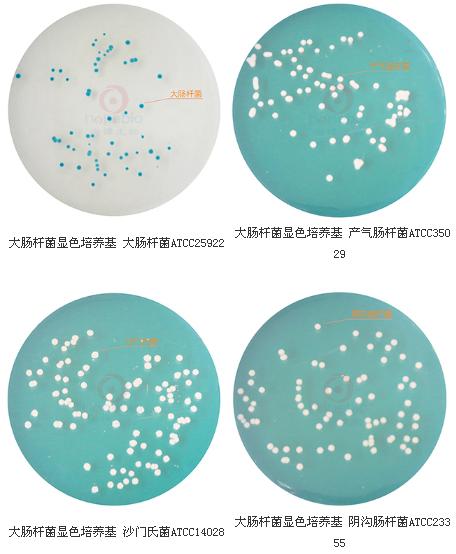 大肠杆菌显色培养基