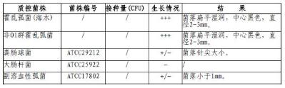 四号琼脂平板