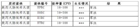 含225mlEC肉汤均质袋