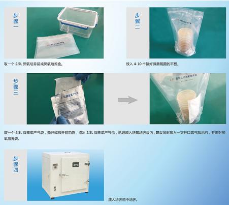 350ml厌氧培养袋