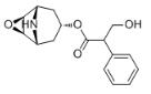 去甲东莨菪碱标准品