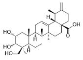 2α,3α,24-Trihydroxyursa-12,20(30)-dien-28-oic acid标准品