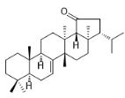 Fern-7-en-19-one标准品