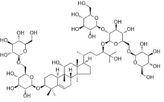 罗汉果苷V标准品