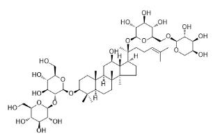 人参皂苷Rb2标准品