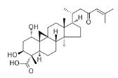 枙子花乙酸标准品