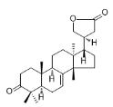3-氧代-24,25,26,27-四去甲甘遂-7-烯-23(21)-内酯标准品