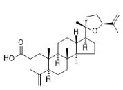 Richenoic acid标准品