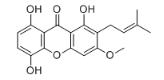 1,5,8-三羟基-3-甲氧基-2-异戊烯基氧杂蒽酮标准品