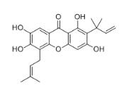 柘树咕吨酮L标准品