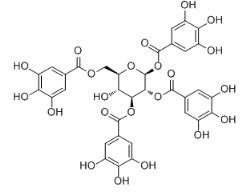 1,2,3,6-四-O-没食子酰-β-D-葡萄糖标准品