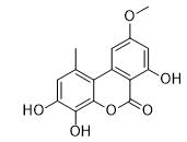 4-羟基交链孢酚单甲醚标准品