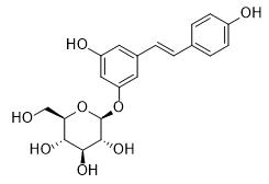 白藜芦醇苷标准品