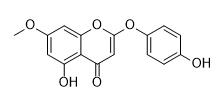 Demethoxy-7-O-methylcapillarisin标准品