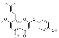 7-O-Methylepimedonin G标准品