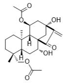 叶含乙酰瘿花香茶菜素B标准品