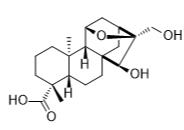 腺苷酸G标准品