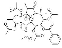 甘遂萜酯A标准品