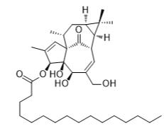 3-棕榈酸酯标准品