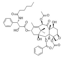 紫杉醇C标准品
