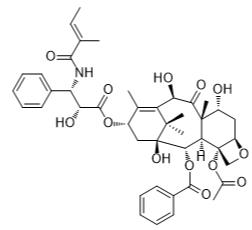 7-表-10-去乙酰头孢甘露氨酸标准品