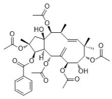 麻疯树6标准品