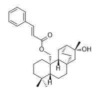 绣线菊阿替生素C标准品