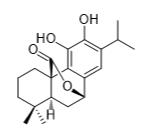 鼠尾草酚标准品