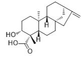 ent-3β-Hydroxykaur-16-en-19-oic acid标准品