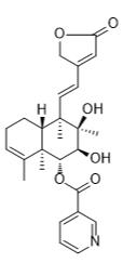 6-O-烟酰半枝莲素C标准品