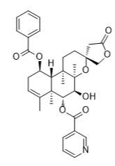 灯盏花素W标准品